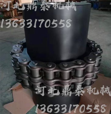 唐山滚子链联轴器
